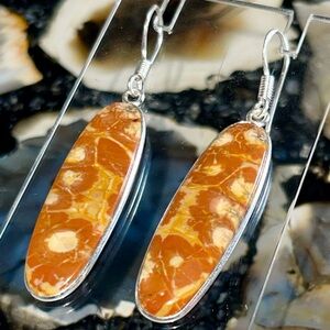 Birds Eye Ryolite Jasper Earrings 2 1/4”
